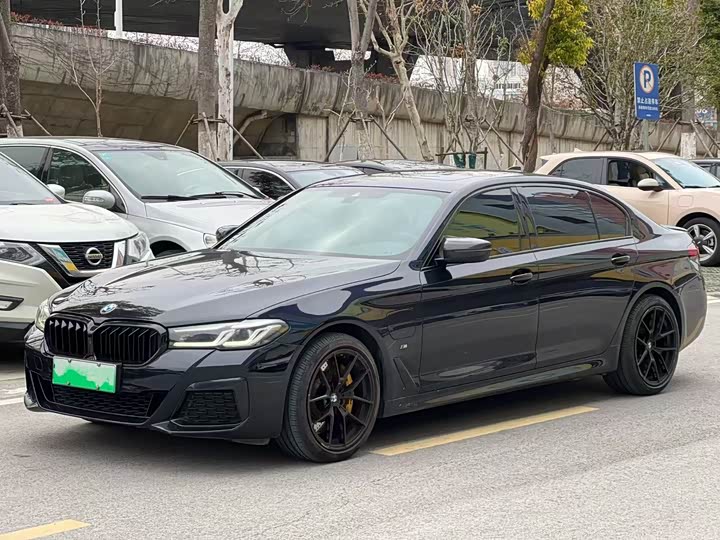 Фото 1 - BMW 5 Series Hybrid