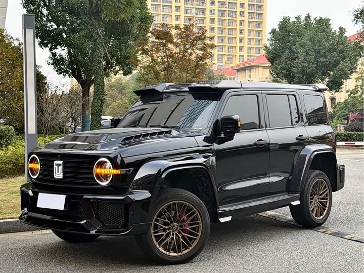 Фото 1 - Tank 300