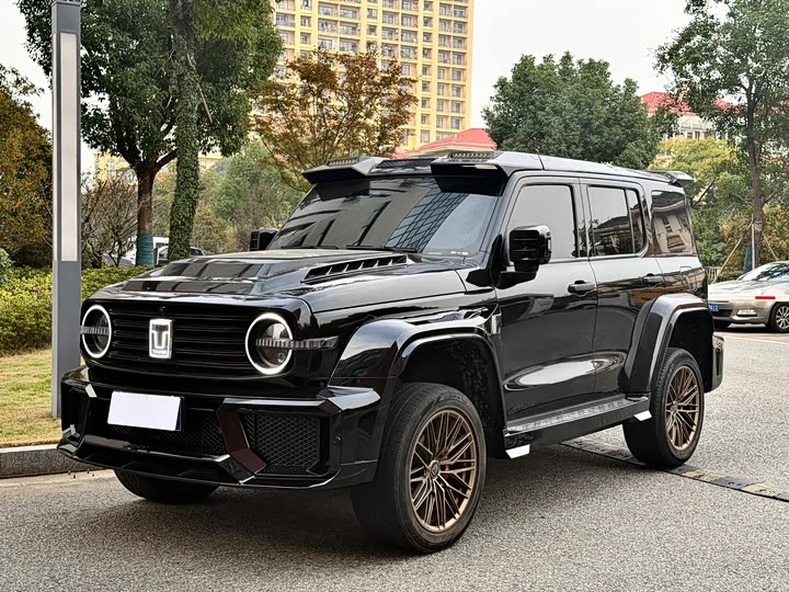 Фото 2 - Tank 300