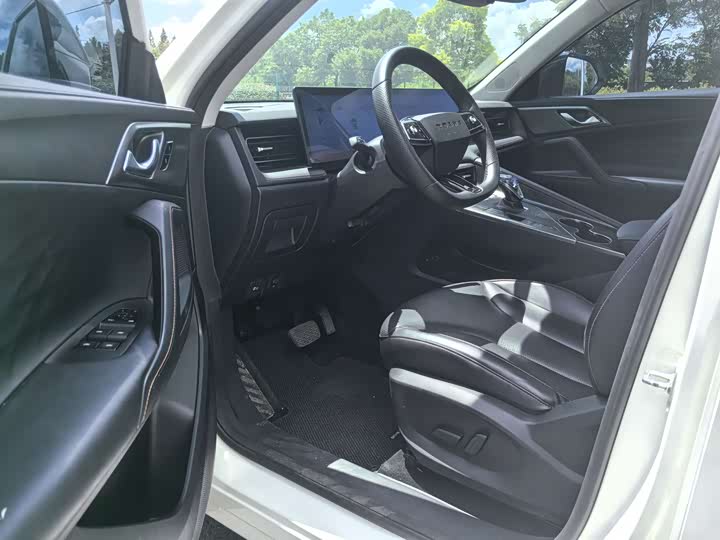 Фото 6 - Roewe RX5