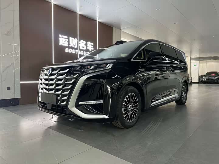 Фото 1 - Denza D9