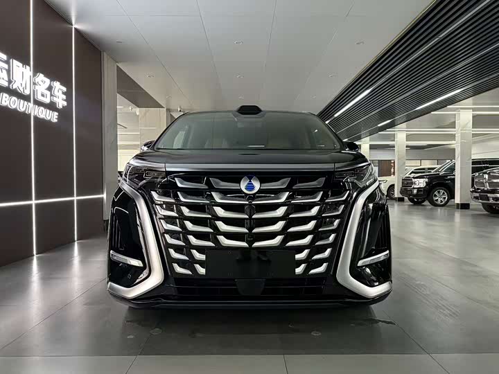 Фото 2 - Denza D9