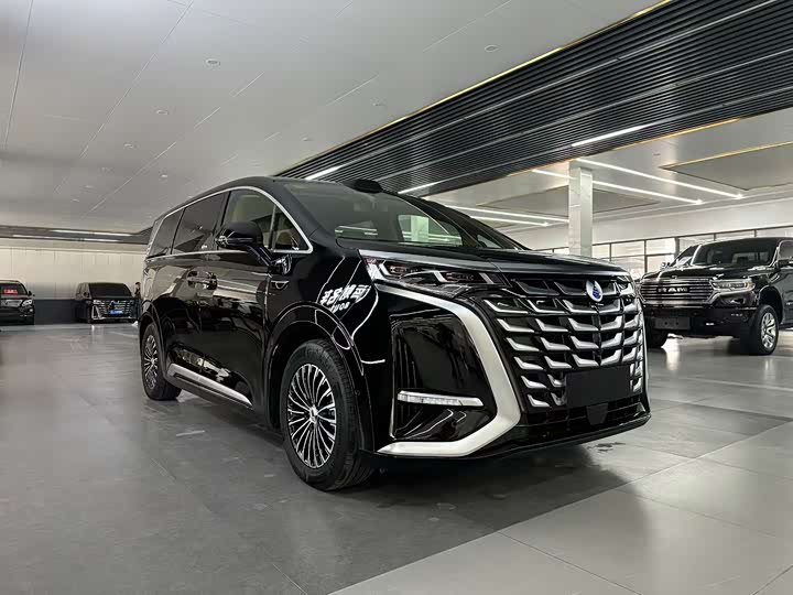 Фото 3 - Denza D9