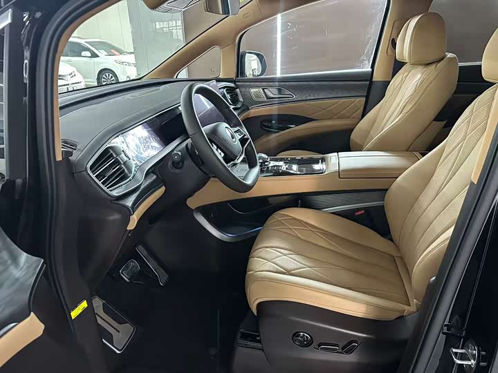 Фото 4 - Denza D9