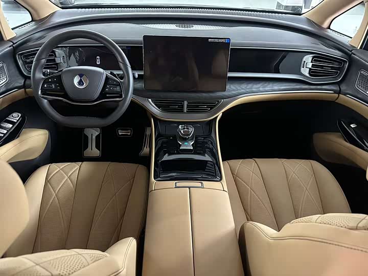 Фото 6 - Denza D9