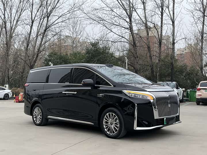 Фото 2 - Wey Gaoshan