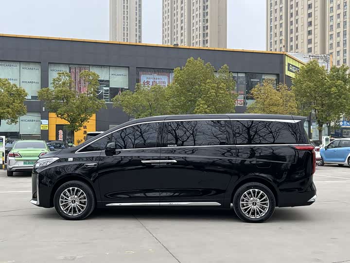 Фото 3 - Wey Gaoshan