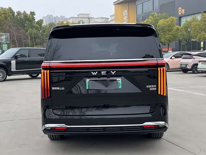 Фото 5 - Wey Gaoshan