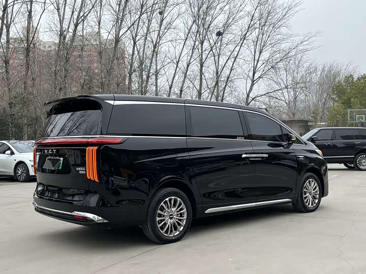 Фото 6 - Wey Gaoshan