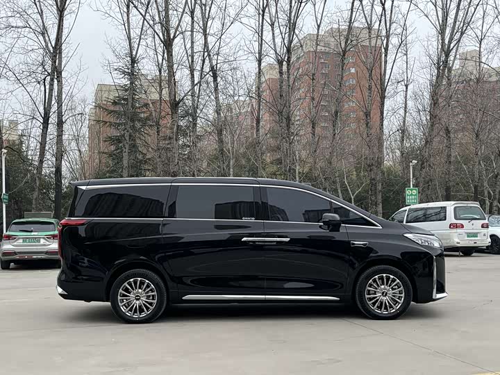 Фото 7 - Wey Gaoshan