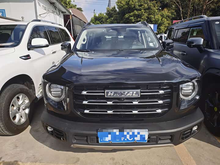 Фото 2 - Haval Dargo