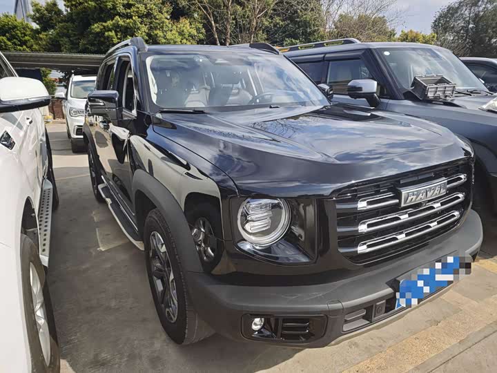 Фото 3 - Haval Dargo