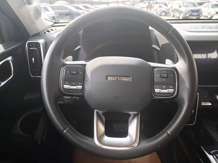 Фото 6 - Haval Dargo