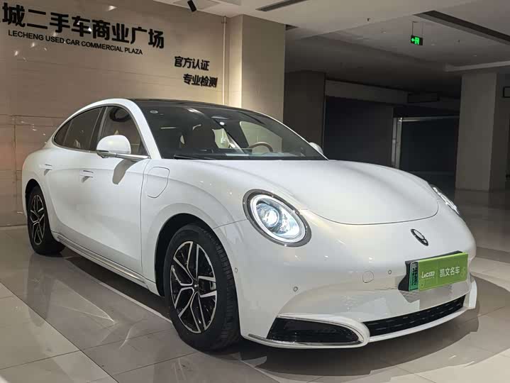 Photo 3 - Ora Lightning Cat (07)