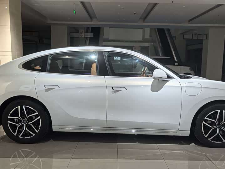 Photo 4 - Ora Lightning Cat (07)