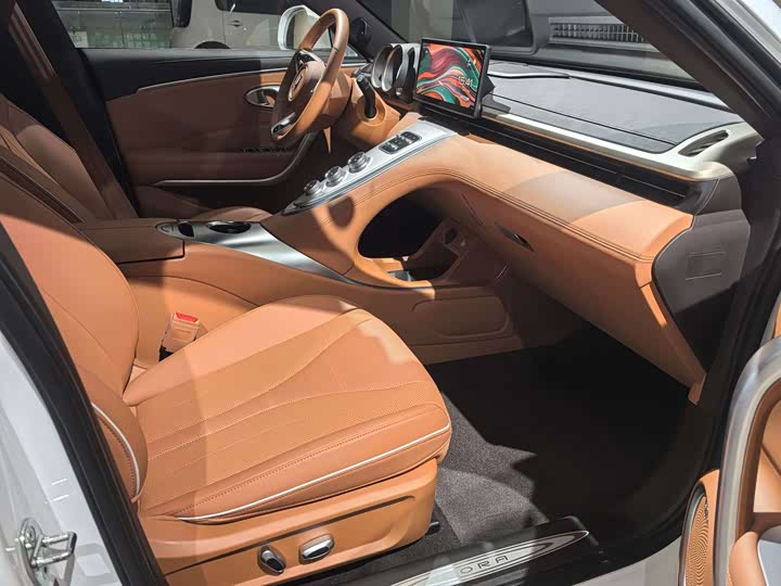 Photo 5 - Ora Lightning Cat (07)