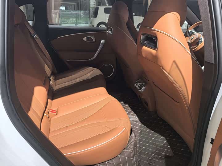 Photo 6 - Ora Lightning Cat (07)