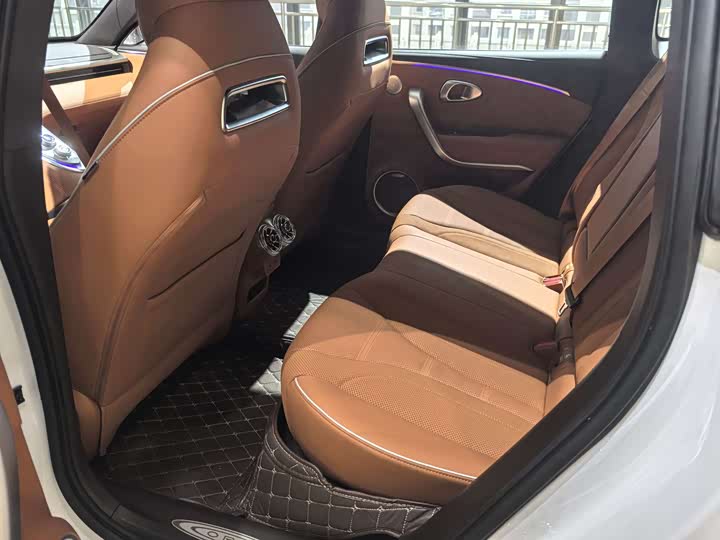 Photo 7 - Ora Lightning Cat (07)