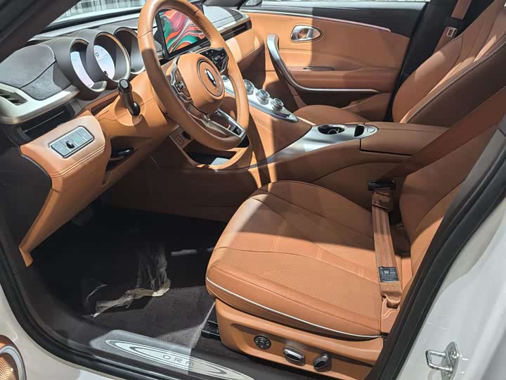 Photo 8 - Ora Lightning Cat (07)