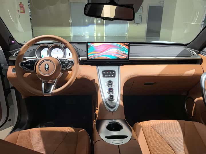 Photo 9 - Ora Lightning Cat (07)