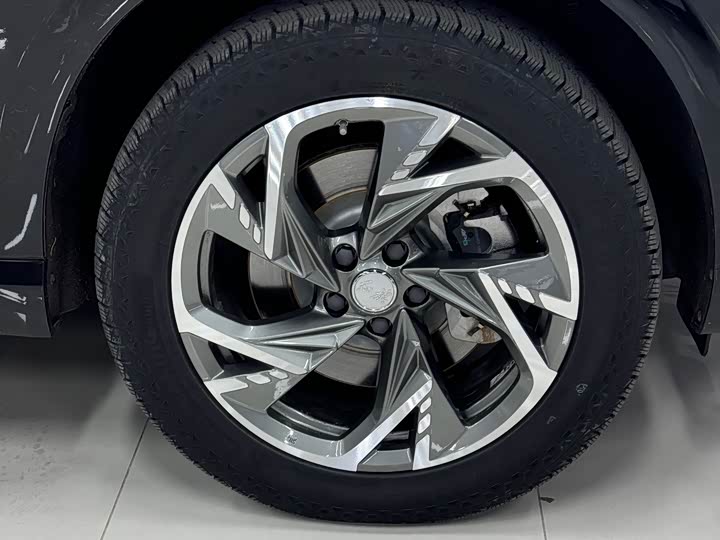 Photo 9 - Hongqi HS3 Hybrid