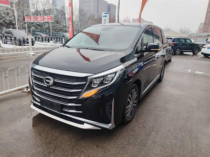 Фото 1 - GAC Trumpchi M8