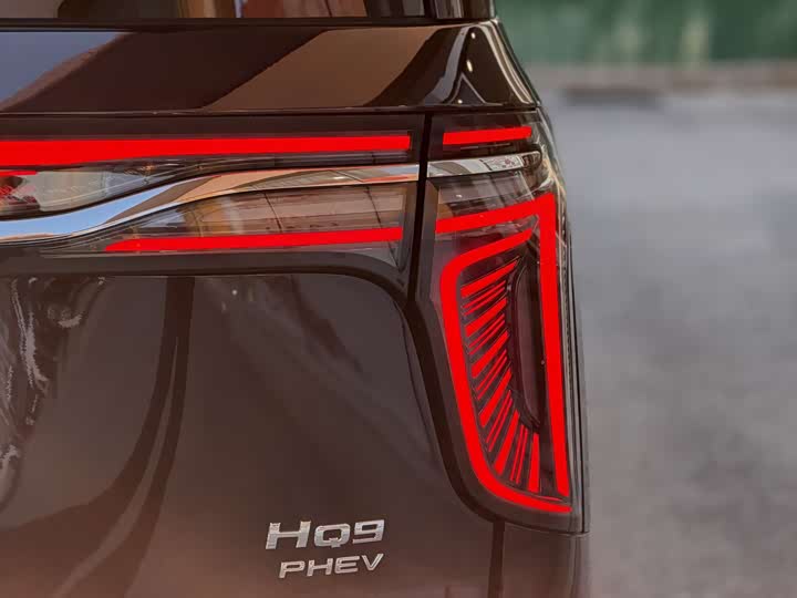 Фото 9 - Hongqi HQ9 Hybrid