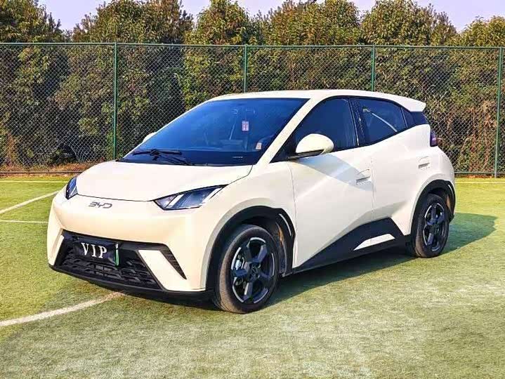 Фото 1 - BYD Seagull