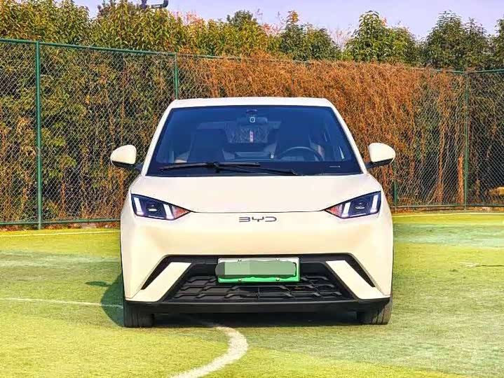 Фото 2 - BYD Seagull