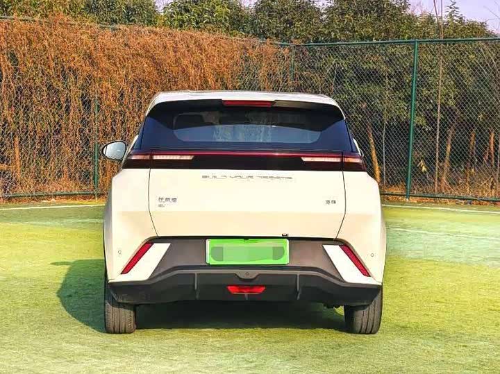 Фото 8 - BYD Seagull