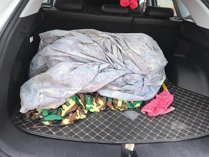 Фото 4 - Changan Oshan Z6