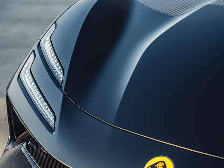 Фото 2 - Lotus Emeya