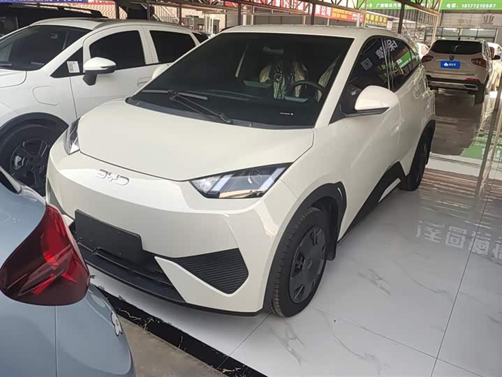 Фото 1 - BYD Seagull