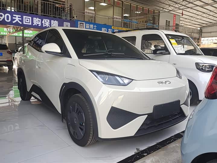 Фото 2 - BYD Seagull