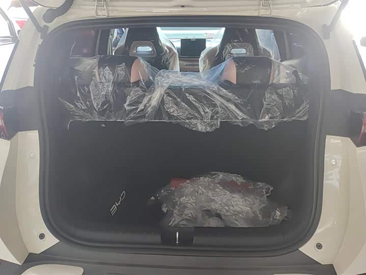 Фото 4 - BYD Seagull