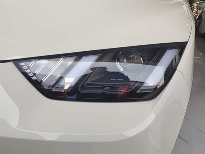 Фото 5 - BYD Seagull