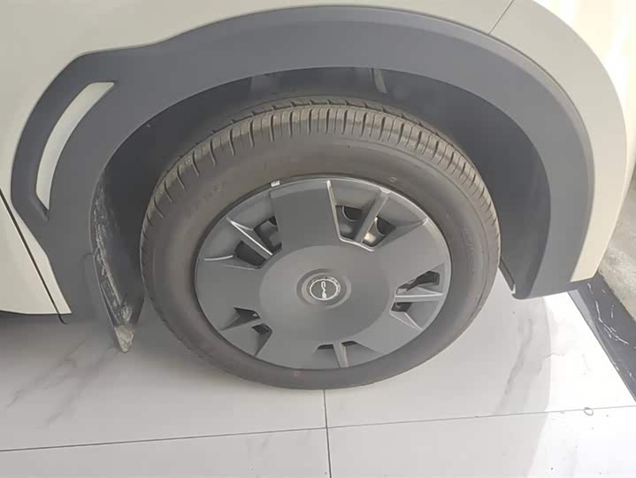 Фото 6 - BYD Seagull