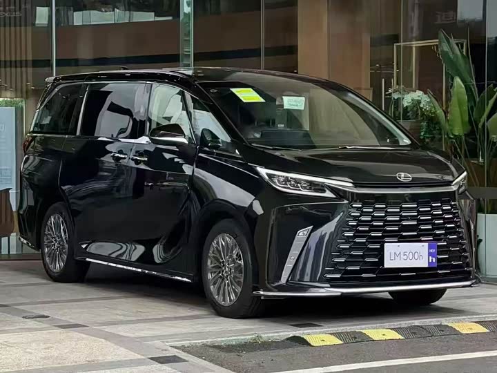 Фото 1 - Lexus LM