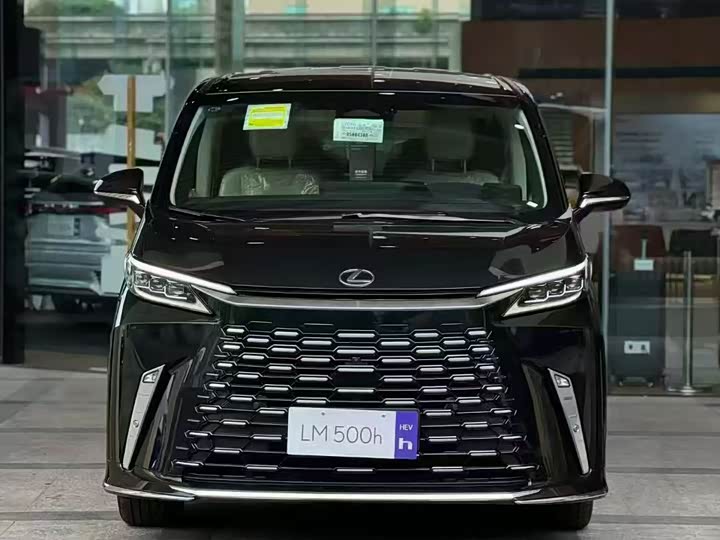 Фото 2 - Lexus LM