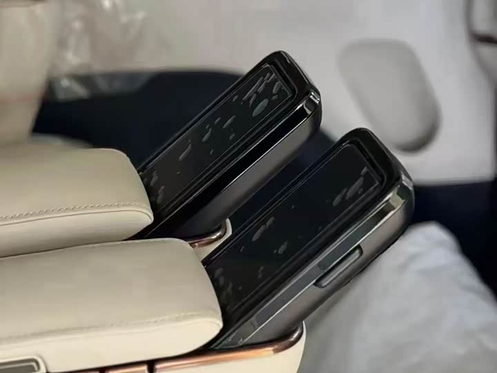 Фото 6 - Lexus LM