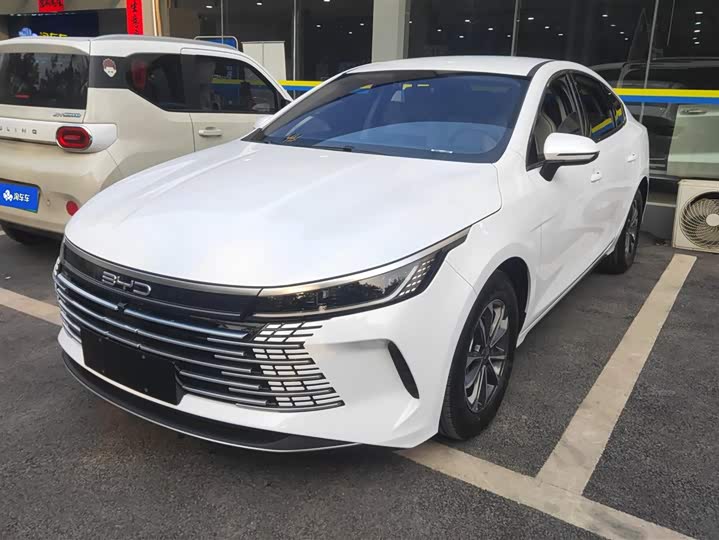 Фото 1 - BYD Destroyer 05