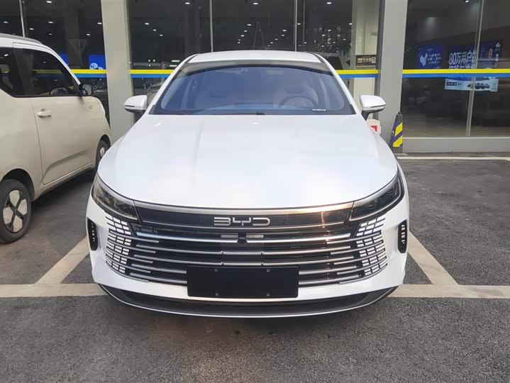 Фото 2 - BYD Destroyer 05