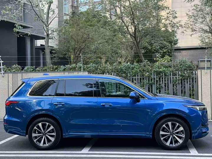 Фото 9 - LiXiang One