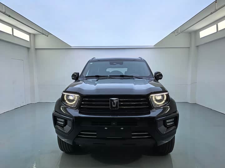 Фото 2 - Tank 700 Hybrid