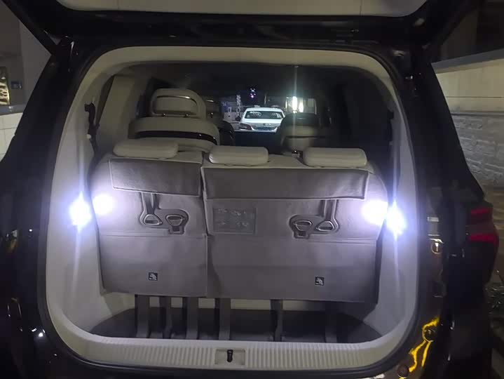 Фото 4 - Dongfeng Forthing Xinghai V9