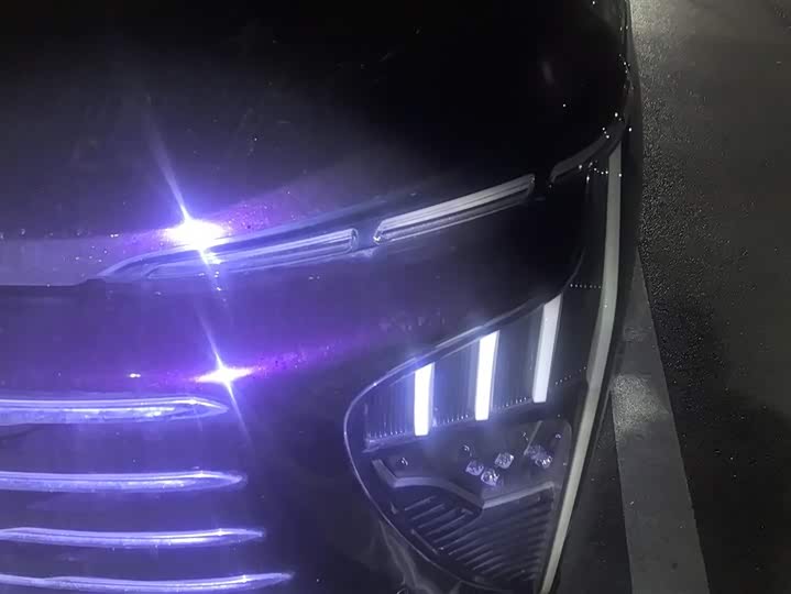 Фото 5 - Dongfeng Forthing Xinghai V9