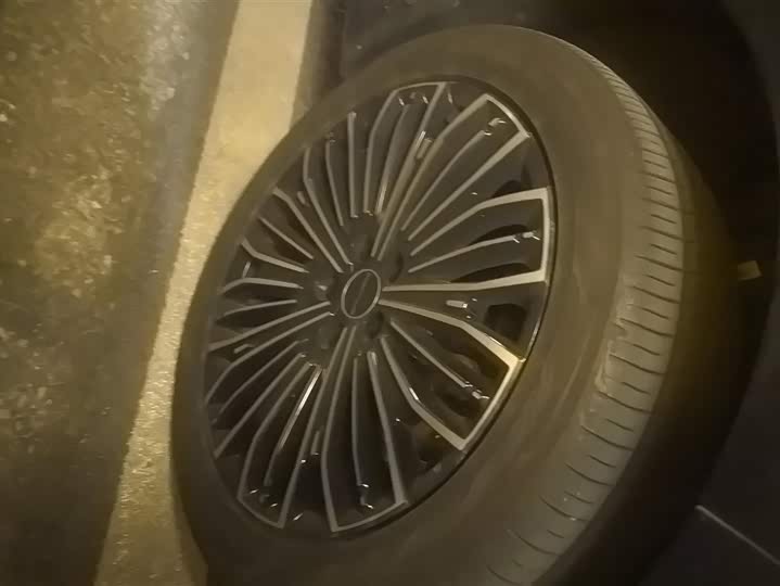 Фото 6 - Dongfeng Forthing Xinghai V9