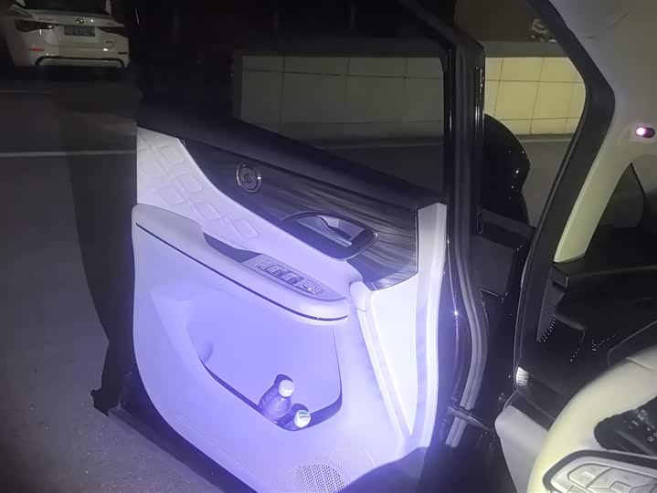 Фото 7 - Dongfeng Forthing Xinghai V9