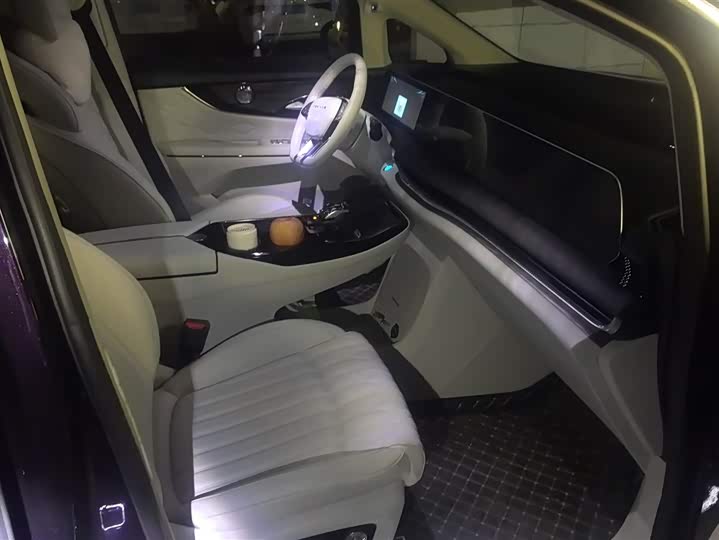 Фото 8 - Dongfeng Forthing Xinghai V9