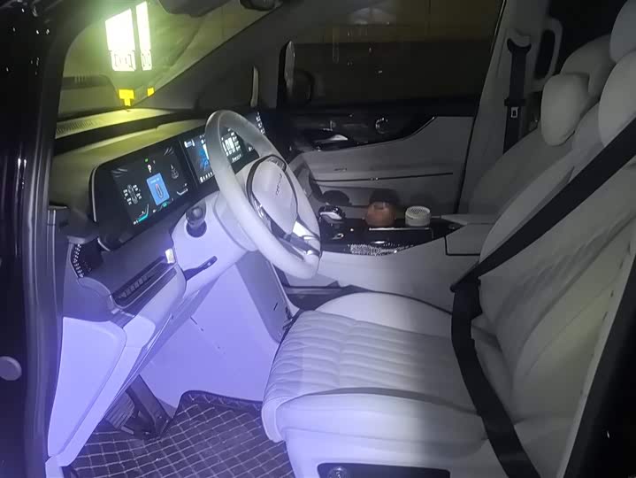 Фото 9 - Dongfeng Forthing Xinghai V9